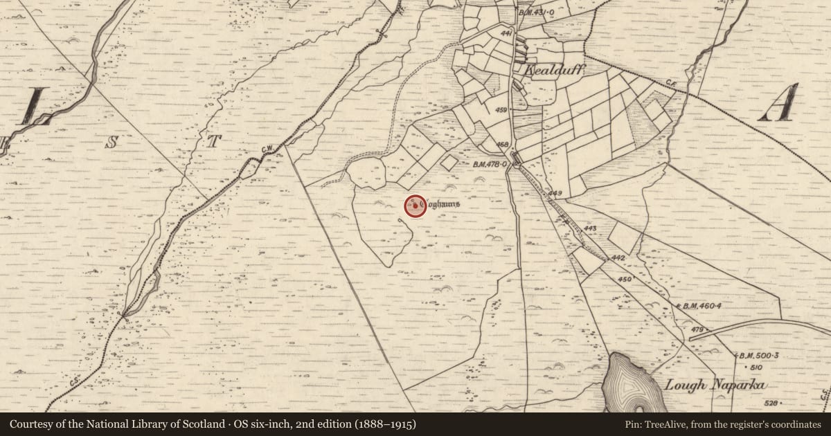 Ordnance Survey six-inch map, 2nd edition (1888–1915) covering the location of Hut site, Kealduff Upper, County Kerry, with a pin at the register's coordinates