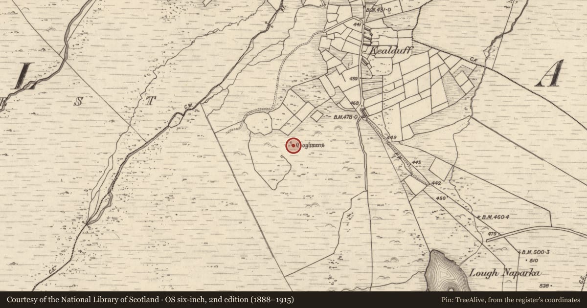 Ordnance Survey six-inch map, 2nd edition (1888–1915) covering the location of Hut site, Kealduff Upper, County Kerry, with a pin at the register's coordinates