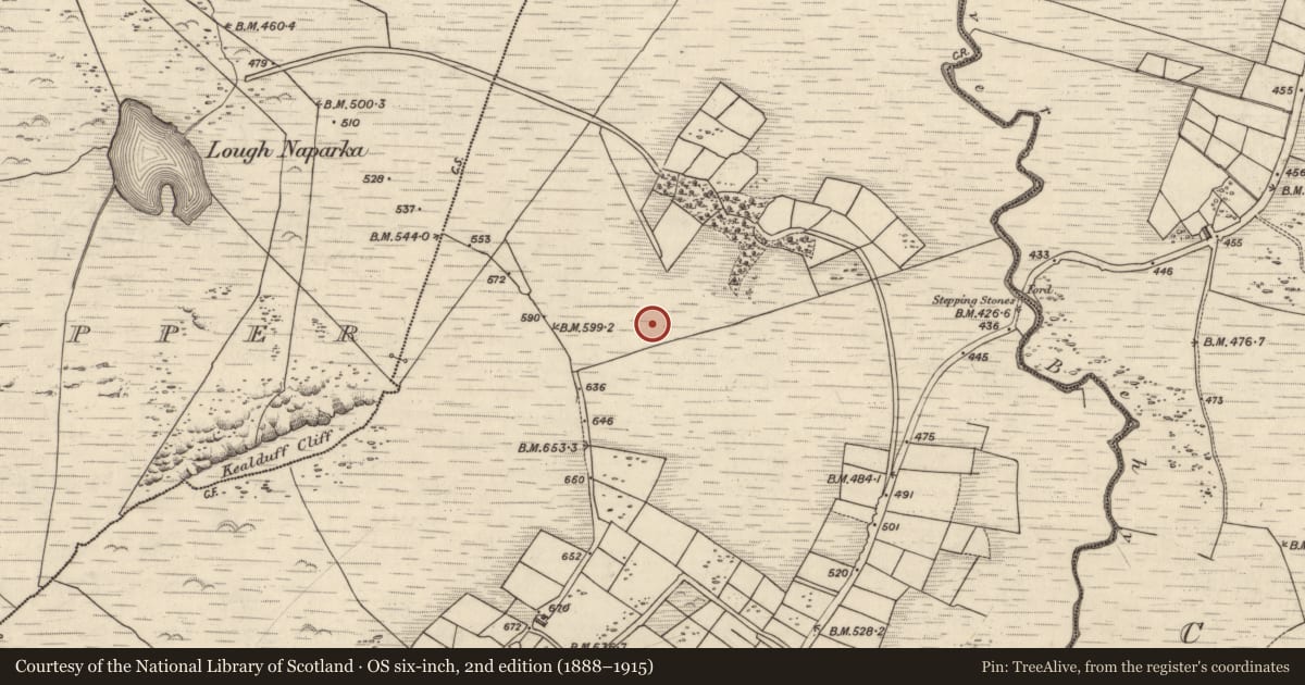 Ordnance Survey six-inch map, 2nd edition (1888–1915) covering the location of Rock art, Coomasaharn, County Kerry, with a pin at the register's coordinates