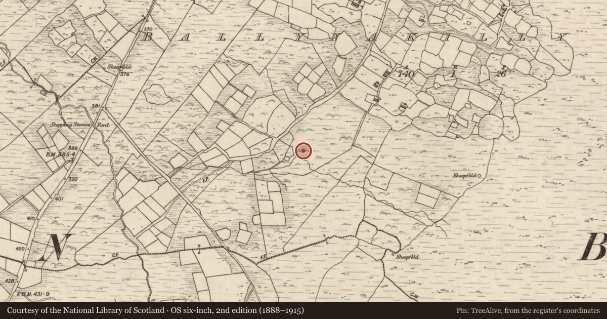 Ordnance Survey six-inch map, 2nd edition (1888–1915) covering the location of Rock art, Ballynakilly Upper, County Kerry, with a pin at the register's coordinates