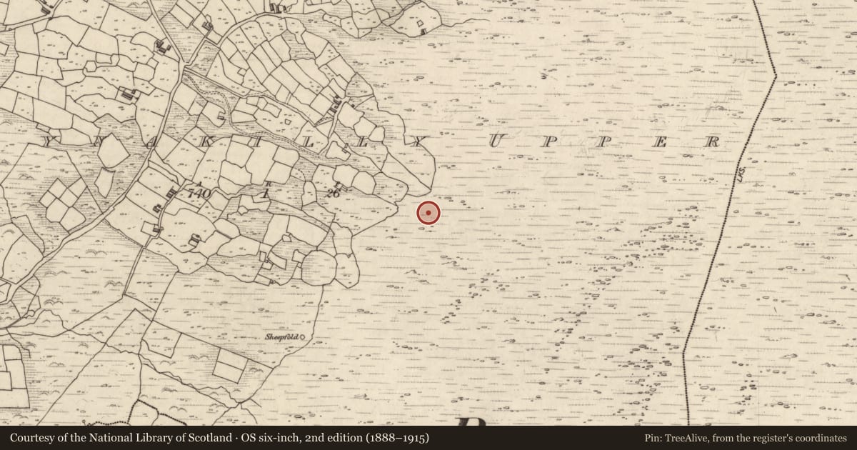 Ordnance Survey six-inch map, 2nd edition (1888–1915) covering the location of Hut site, Ballynakilly Upper, County Kerry, with a pin at the register's coordinates