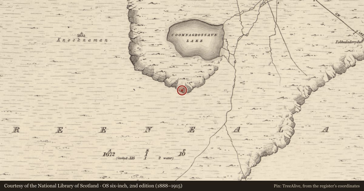 Ordnance Survey six-inch map, 2nd edition (1888–1915) covering the location of Hut site, Tooreenealagh, County Kerry, with a pin at the register's coordinates