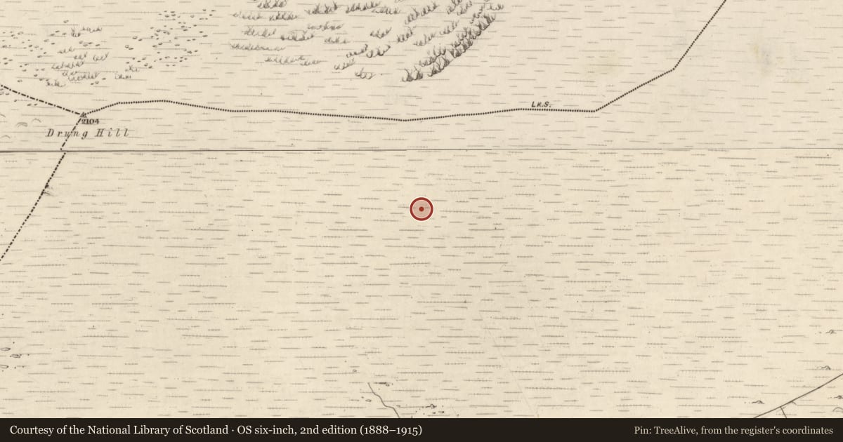 Ordnance Survey six-inch map, 2nd edition (1888–1915) covering the location of Hut site, Letter West, County Kerry, with a pin at the register's coordinates