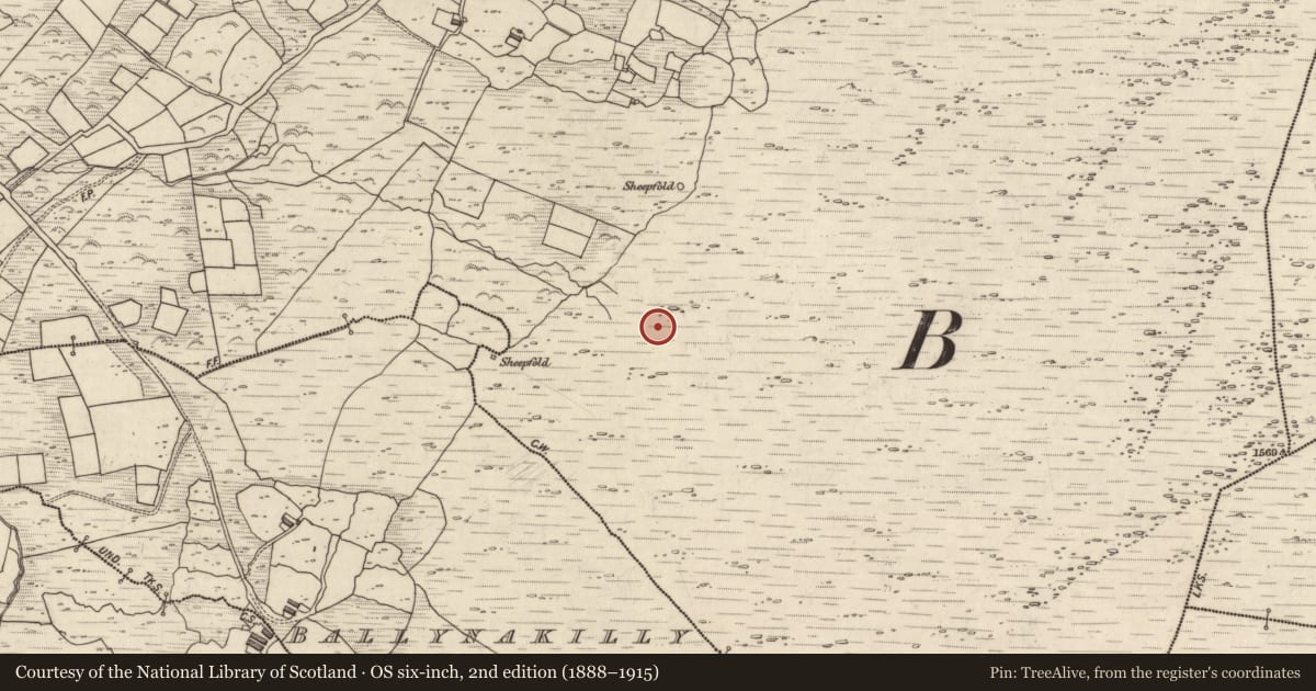 Ordnance Survey six-inch map, 2nd edition (1888–1915) covering the location of Fulacht fia, Ballynakilly Upper, County Kerry, with a pin at the register's coordinates