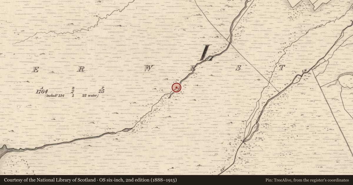 Ordnance Survey six-inch map, 2nd edition (1888–1915) covering the location of Rock art, Letter West, County Kerry, with a pin at the register's coordinates