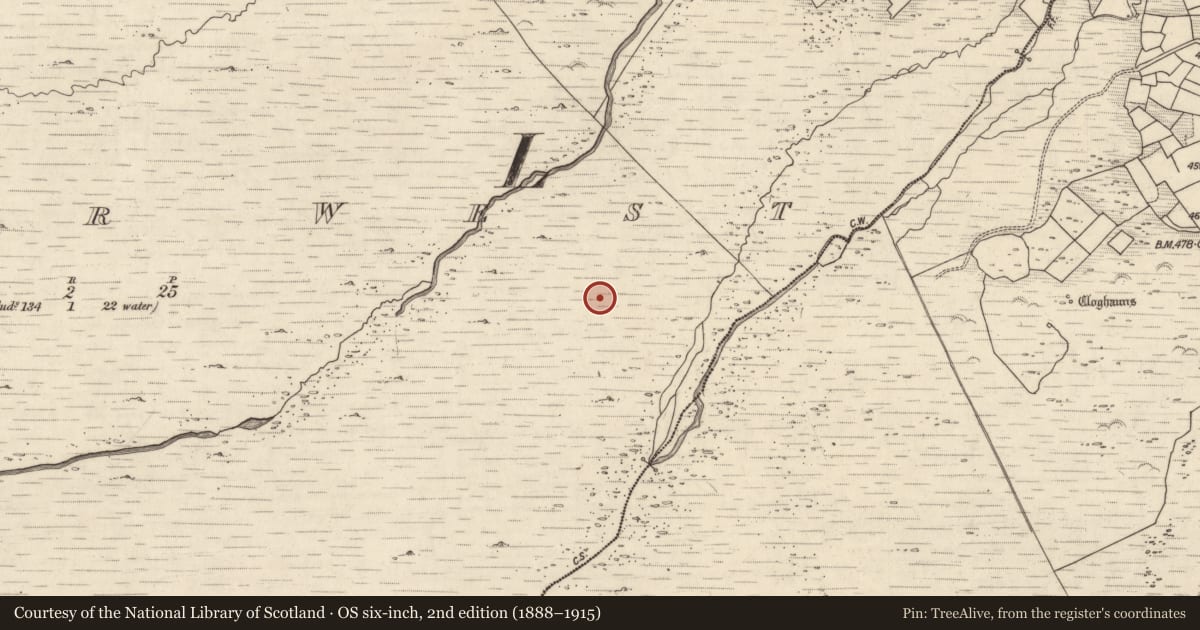 Ordnance Survey six-inch map, 2nd edition (1888–1915) covering the location of Rock art, Letter West, County Kerry, with a pin at the register's coordinates