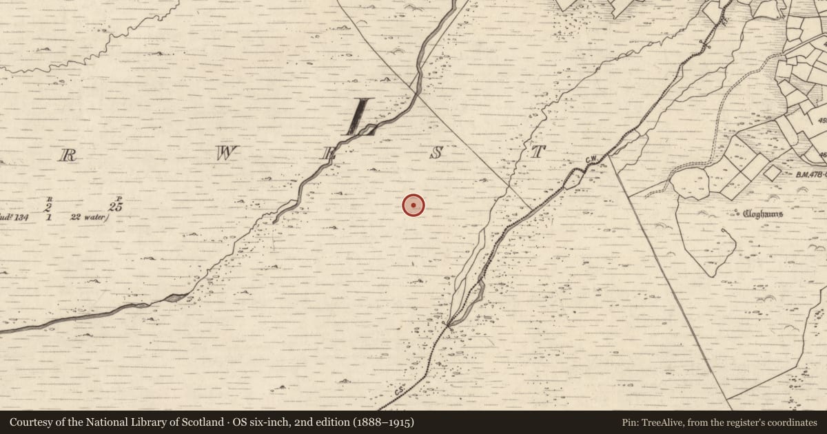 Ordnance Survey six-inch map, 2nd edition (1888–1915) covering the location of Rock art, Letter West, County Kerry, with a pin at the register's coordinates