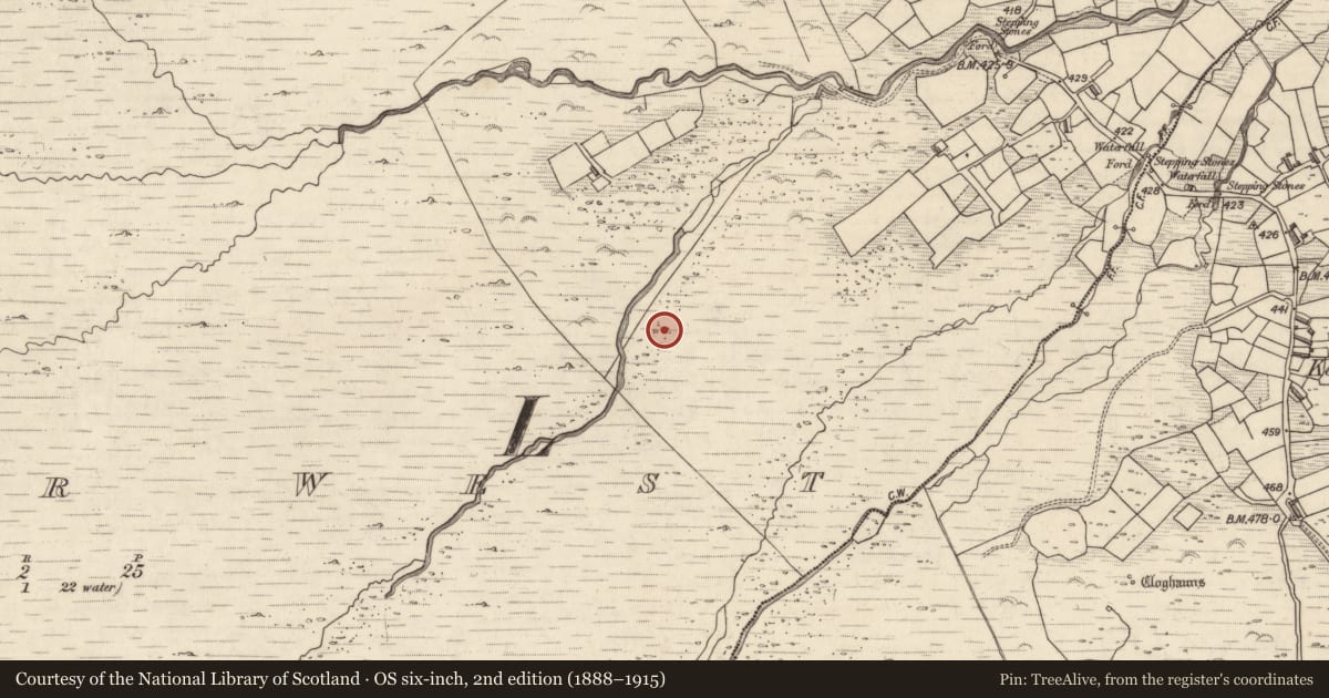 Ordnance Survey six-inch map, 2nd edition (1888–1915) covering the location of Rock art, Letter West, County Kerry, with a pin at the register's coordinates