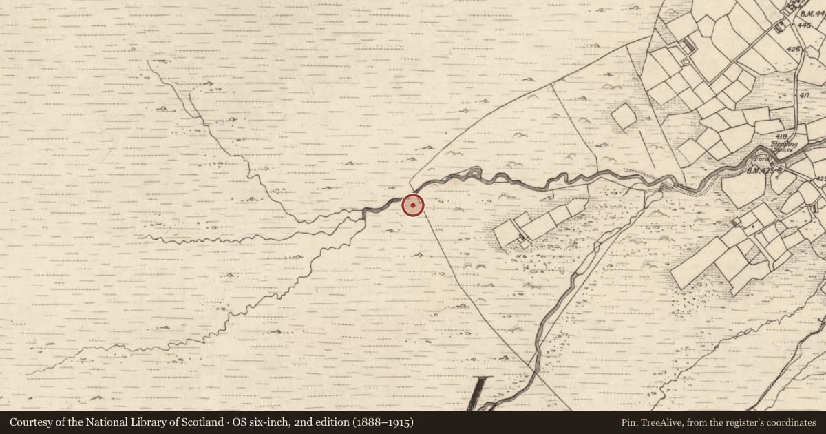 Ordnance Survey six-inch map, 2nd edition (1888–1915) covering the location of Rock art, Letter West, County Kerry, with a pin at the register's coordinates
