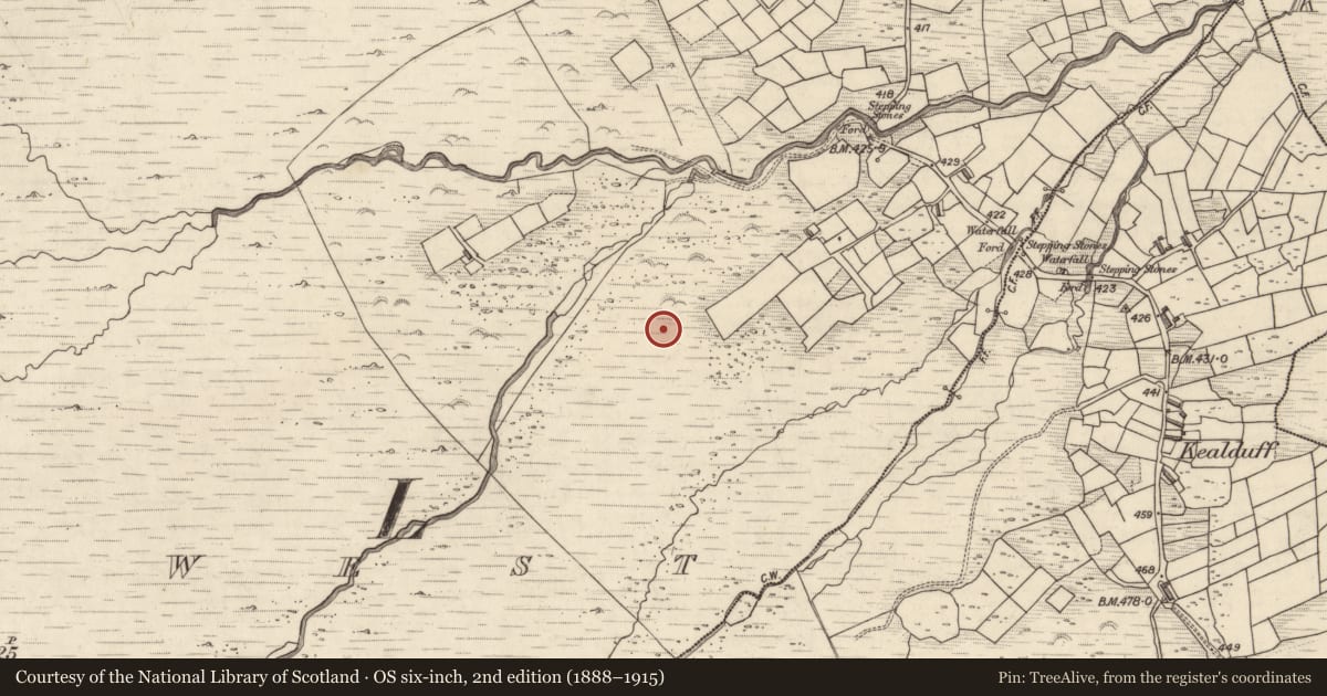 Ordnance Survey six-inch map, 2nd edition (1888–1915) covering the location of Rock art, Letter West, County Kerry, with a pin at the register's coordinates