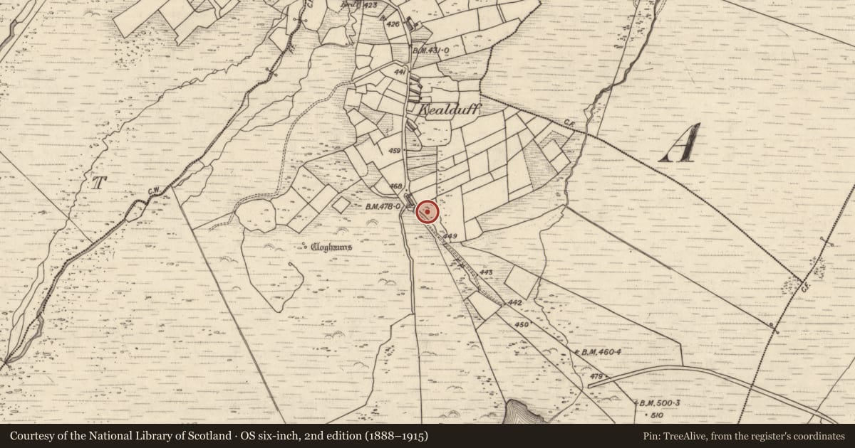 Ordnance Survey six-inch map, 2nd edition (1888–1915) covering the location of Rock art, Kealduff Upper, County Kerry, with a pin at the register's coordinates
