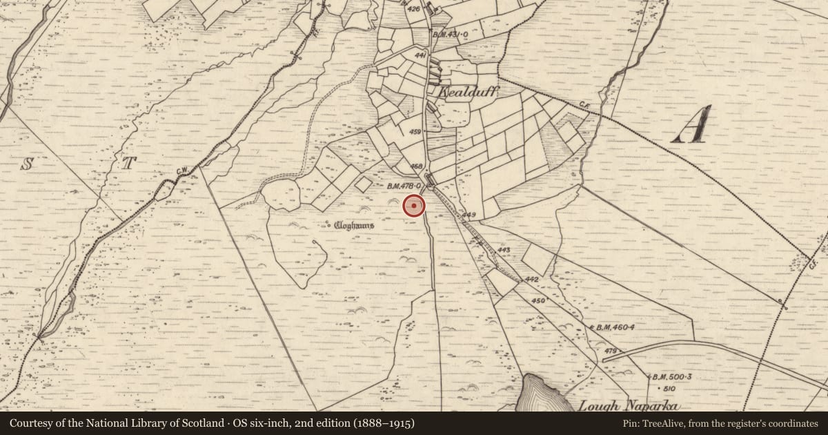 Ordnance Survey six-inch map, 2nd edition (1888–1915) covering the location of Rock art, Kealduff Upper, County Kerry, with a pin at the register's coordinates