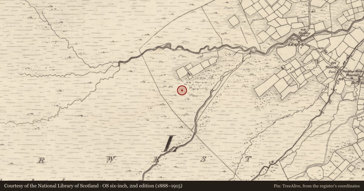 Ordnance Survey six-inch map, 2nd edition (1888–1915) covering the location of Rock art, Letter West, County Kerry, with a pin at the register's coordinates