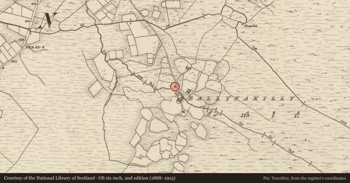 Ordnance Survey six-inch map, 2nd edition (1888–1915) covering the location of Rock art, Ballynakilly, County Kerry, with a pin at the register's coordinates