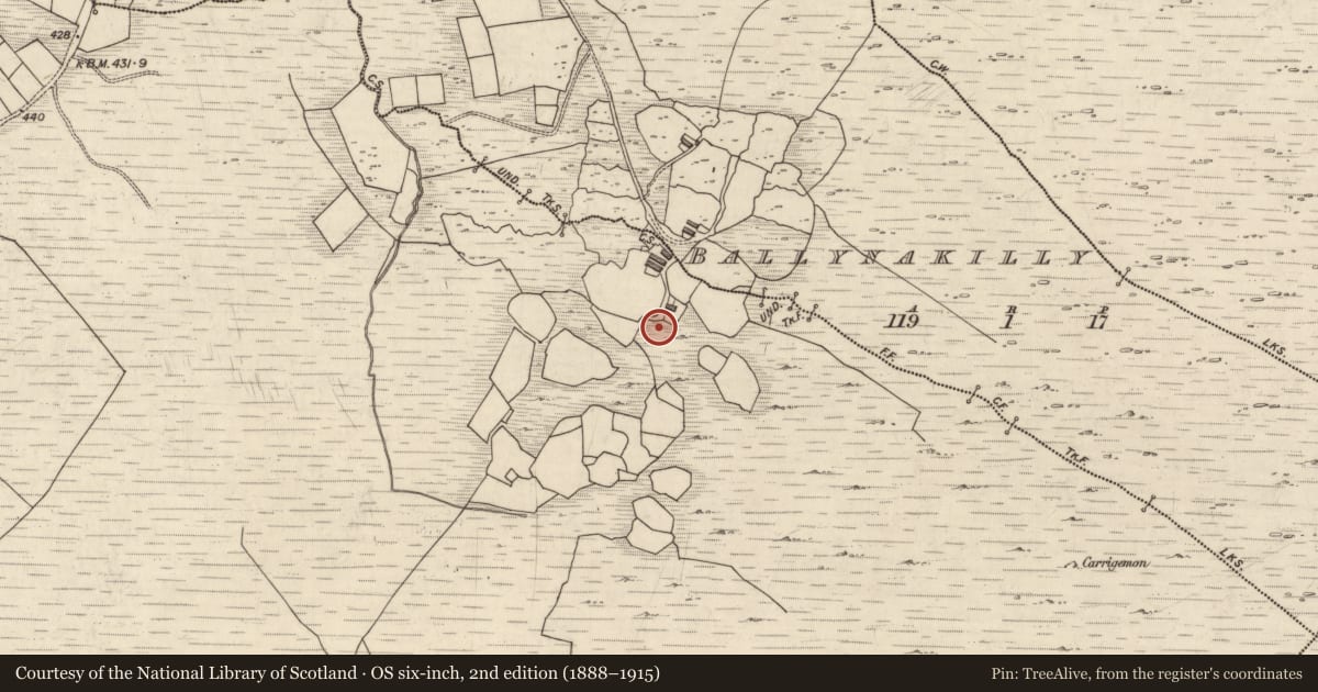 Ordnance Survey six-inch map, 2nd edition (1888–1915) covering the location of Rock art, Canearagh, County Kerry, with a pin at the register's coordinates