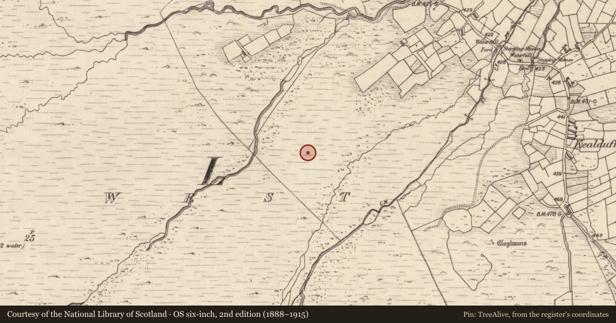 Ordnance Survey six-inch map, 2nd edition (1888–1915) covering the location of Rock art, Letter West, County Kerry, with a pin at the register's coordinates