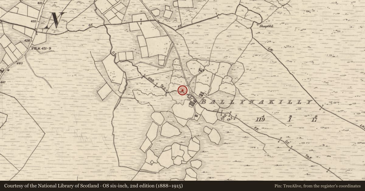 Ordnance Survey six-inch map, 2nd edition (1888–1915) covering the location of Rock art, Ballynakilly, County Kerry, with a pin at the register's coordinates