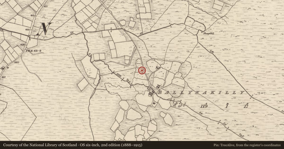 Ordnance Survey six-inch map, 2nd edition (1888–1915) covering the location of Rock art, Ballynakilly, County Kerry, with a pin at the register's coordinates