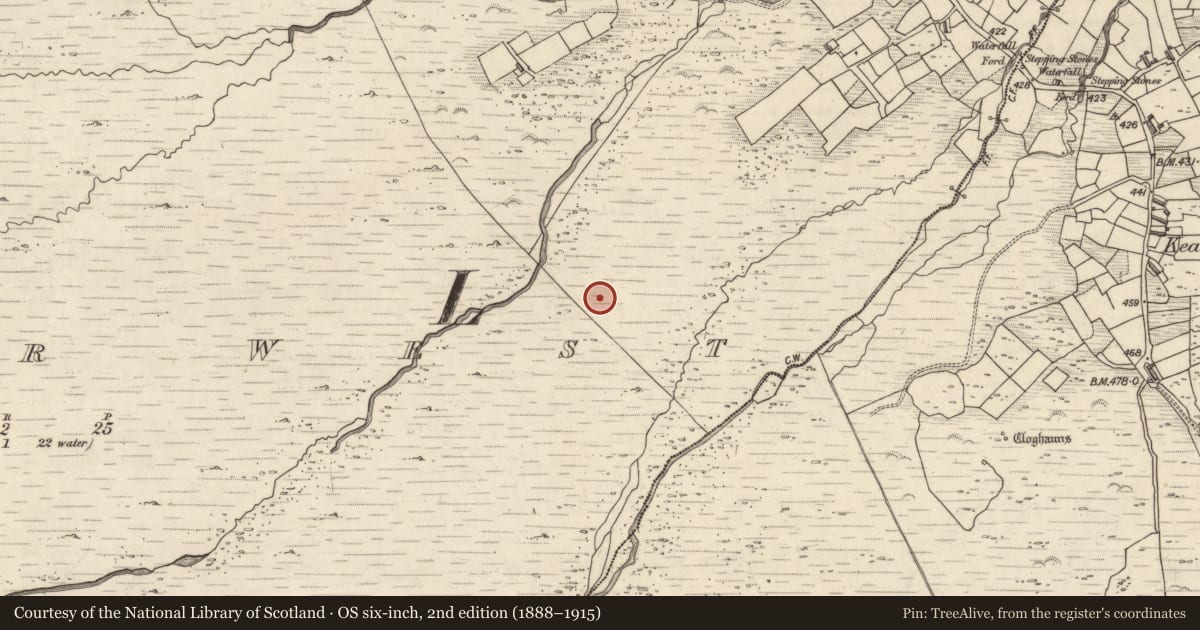 Ordnance Survey six-inch map, 2nd edition (1888–1915) covering the location of Rock art, Letter West, County Kerry, with a pin at the register's coordinates