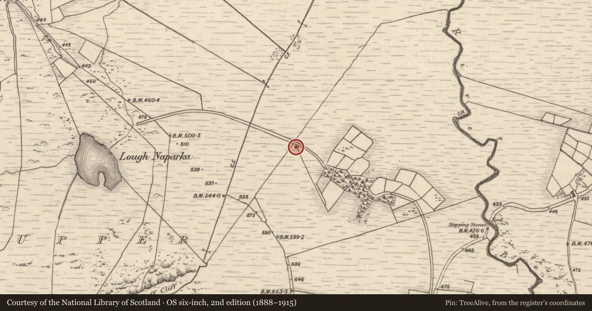 Ordnance Survey six-inch map, 2nd edition (1888–1915) covering the location of Rock art, Coomasaharn, County Kerry, with a pin at the register's coordinates