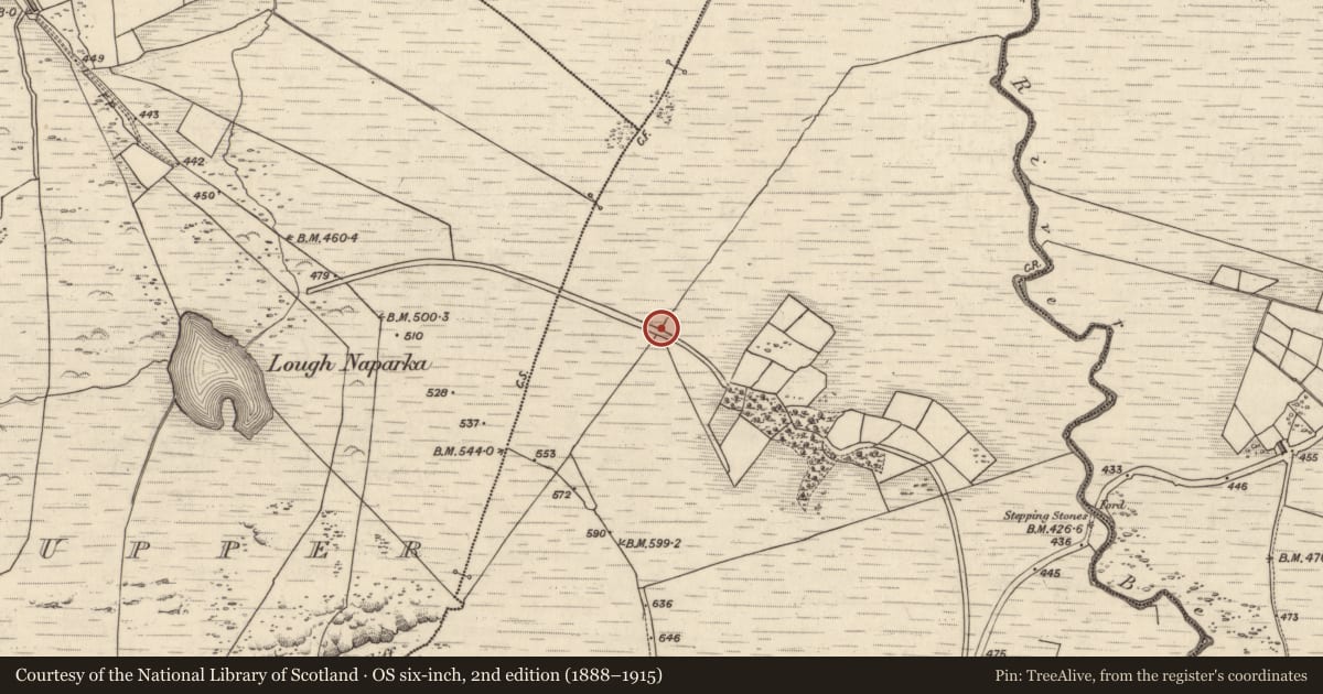 Ordnance Survey six-inch map, 2nd edition (1888–1915) covering the location of Rock art, Coomasaharn, County Kerry, with a pin at the register's coordinates