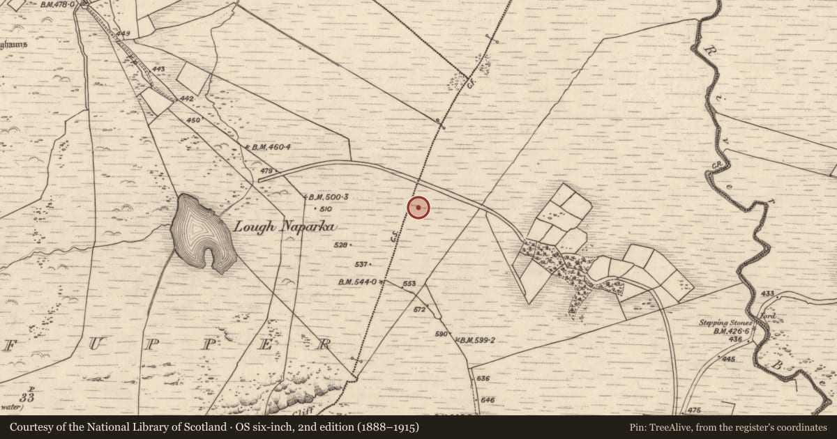 Ordnance Survey six-inch map, 2nd edition (1888–1915) covering the location of Rock art, Coomasaharn, County Kerry, with a pin at the register's coordinates
