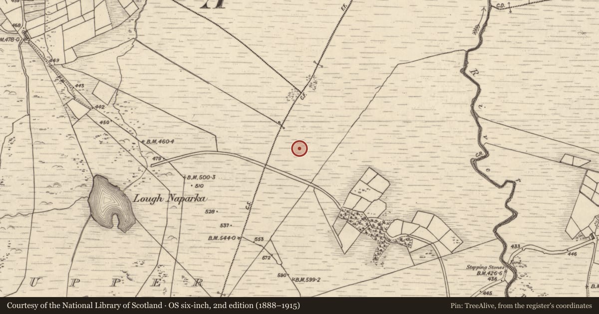 Ordnance Survey six-inch map, 2nd edition (1888–1915) covering the location of Rock art, Coomasaharn, County Kerry, with a pin at the register's coordinates