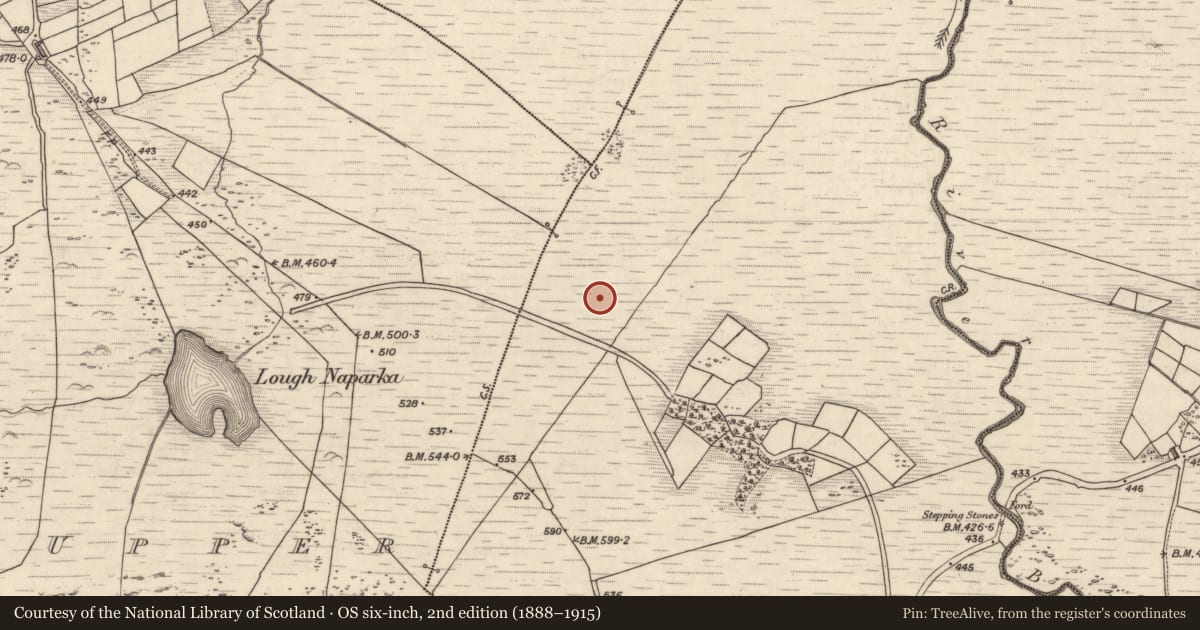 Ordnance Survey six-inch map, 2nd edition (1888–1915) covering the location of Rock art, Coomasaharn, County Kerry, with a pin at the register's coordinates