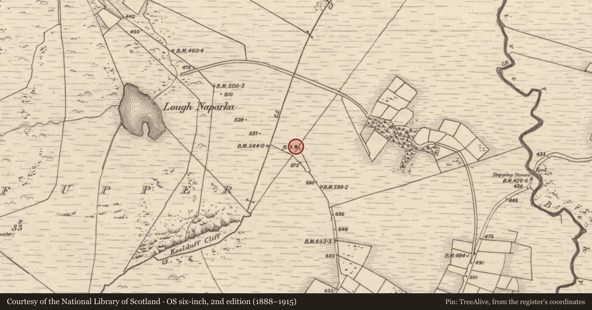 Ordnance Survey six-inch map, 2nd edition (1888–1915) covering the location of Rock art, Coomasaharn, County Kerry, with a pin at the register's coordinates
