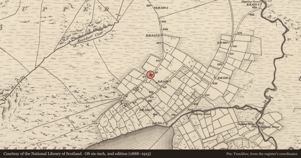 Ordnance Survey six-inch map, 2nd edition (1888–1915) covering the location of Rock art, Coomasaharn, County Kerry, with a pin at the register's coordinates
