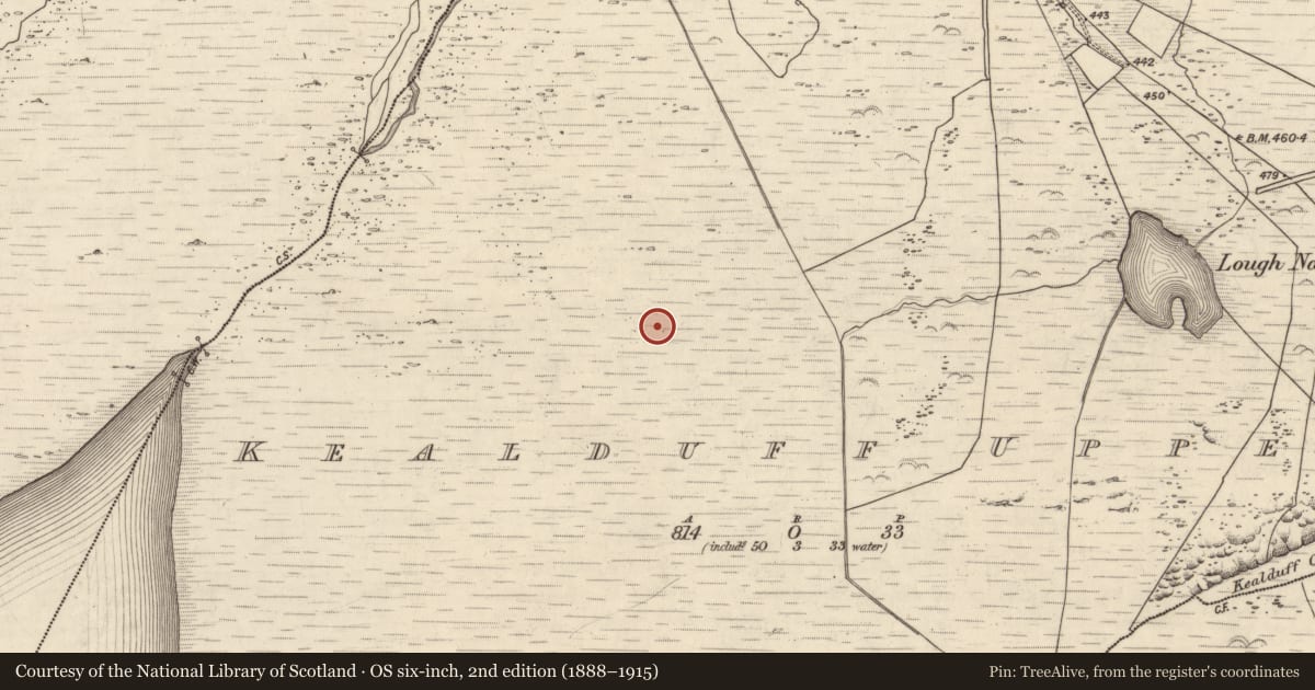 Ordnance Survey six-inch map, 2nd edition (1888–1915) covering the location of Rock art, Kealduff Upper, County Kerry, with a pin at the register's coordinates