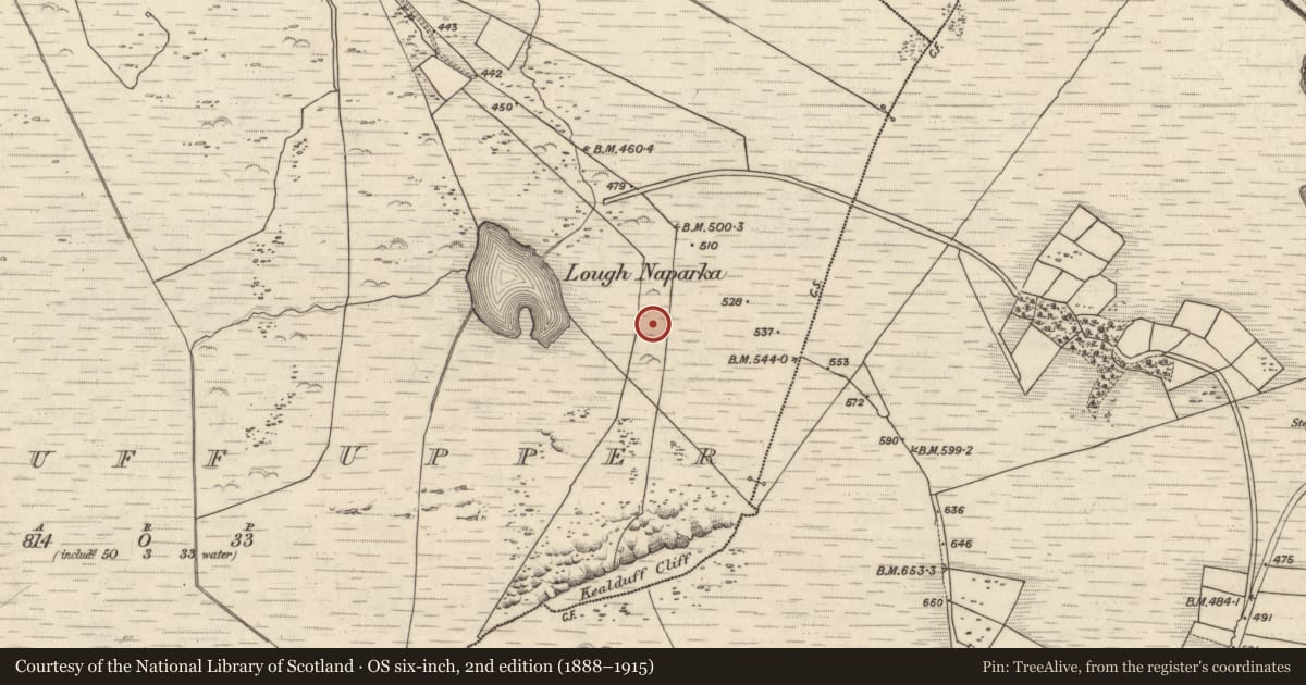 Ordnance Survey six-inch map, 2nd edition (1888–1915) covering the location of Rock art, Kealduff Upper, County Kerry, with a pin at the register's coordinates