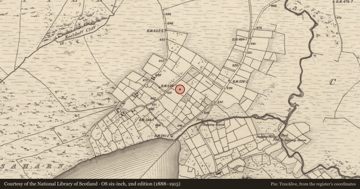 Ordnance Survey six-inch map, 2nd edition (1888–1915) covering the location of Rock art, Coomasaharn, County Kerry, with a pin at the register's coordinates