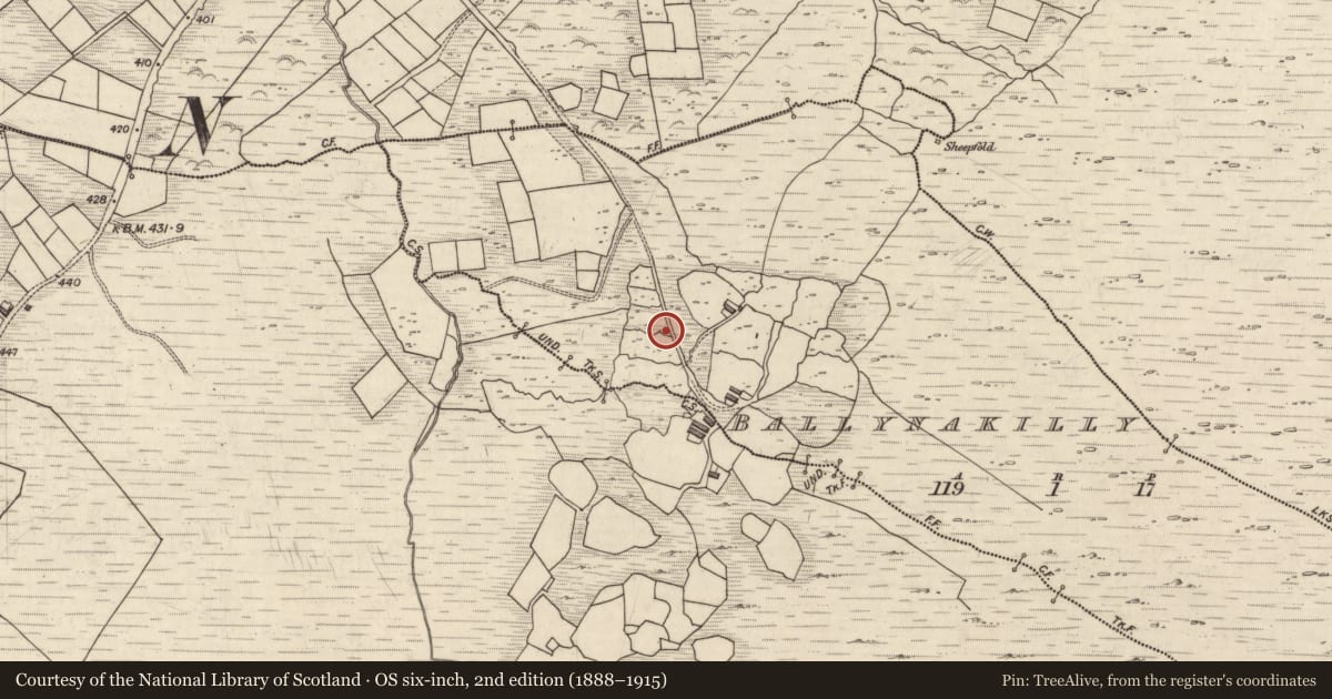 Ordnance Survey six-inch map, 2nd edition (1888–1915) covering the location of Rock art, Ballynakilly, County Kerry, with a pin at the register's coordinates