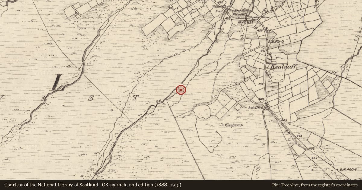 Ordnance Survey six-inch map, 2nd edition (1888–1915) covering the location of Rock art, Kealduff Upper, County Kerry, with a pin at the register's coordinates