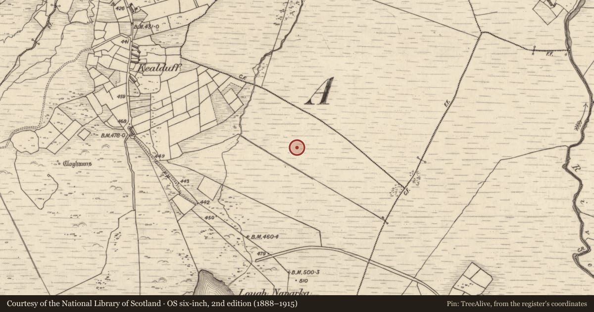 Ordnance Survey six-inch map, 2nd edition (1888–1915) covering the location of Rock art, Kealduff Upper, County Kerry, with a pin at the register's coordinates