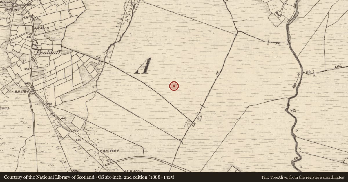 Ordnance Survey six-inch map, 2nd edition (1888–1915) covering the location of Rock art, Kealduff Lower, County Kerry, with a pin at the register's coordinates