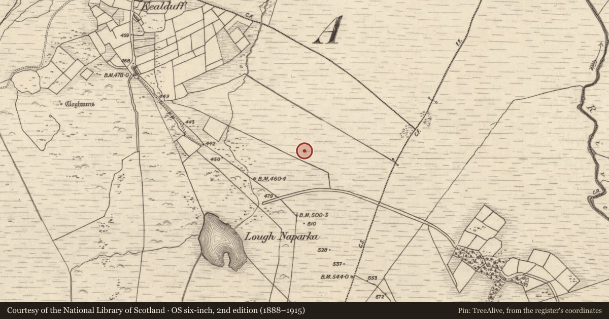 Ordnance Survey six-inch map, 2nd edition (1888–1915) covering the location of Rock art, Kealduff Upper, County Kerry, with a pin at the register's coordinates