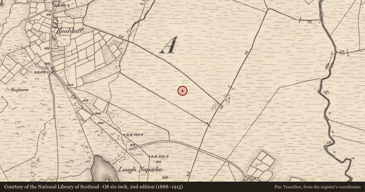 Ordnance Survey six-inch map, 2nd edition (1888–1915) covering the location of Rock art, Kealduff Upper, County Kerry, with a pin at the register's coordinates