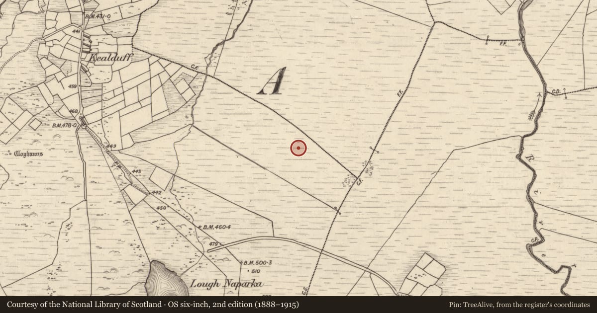 Ordnance Survey six-inch map, 2nd edition (1888–1915) covering the location of Rock art, Kealduff Upper, County Kerry, with a pin at the register's coordinates