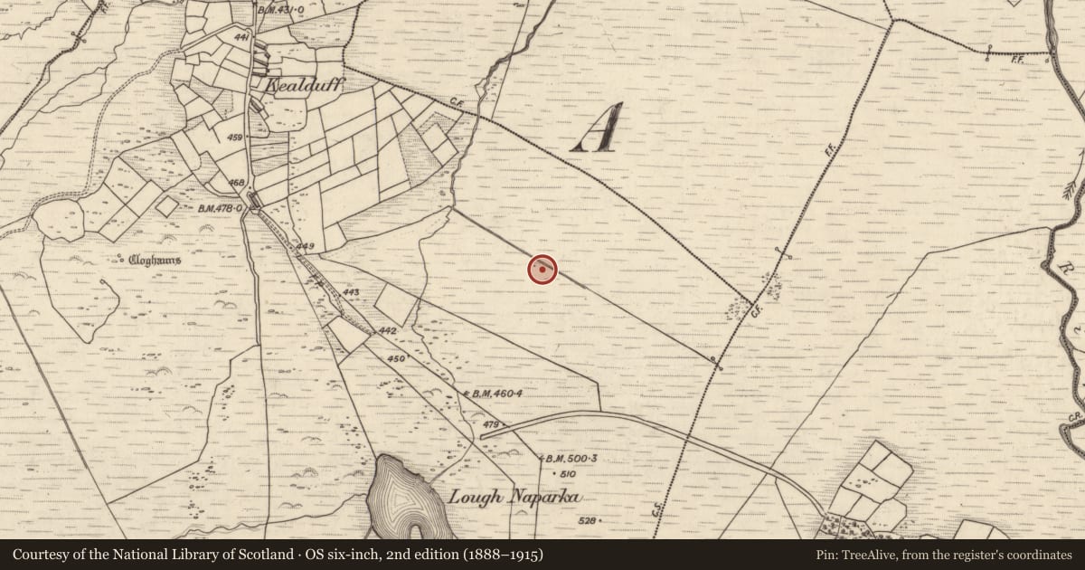 Ordnance Survey six-inch map, 2nd edition (1888–1915) covering the location of Rock art, Kealduff Upper, County Kerry, with a pin at the register's coordinates