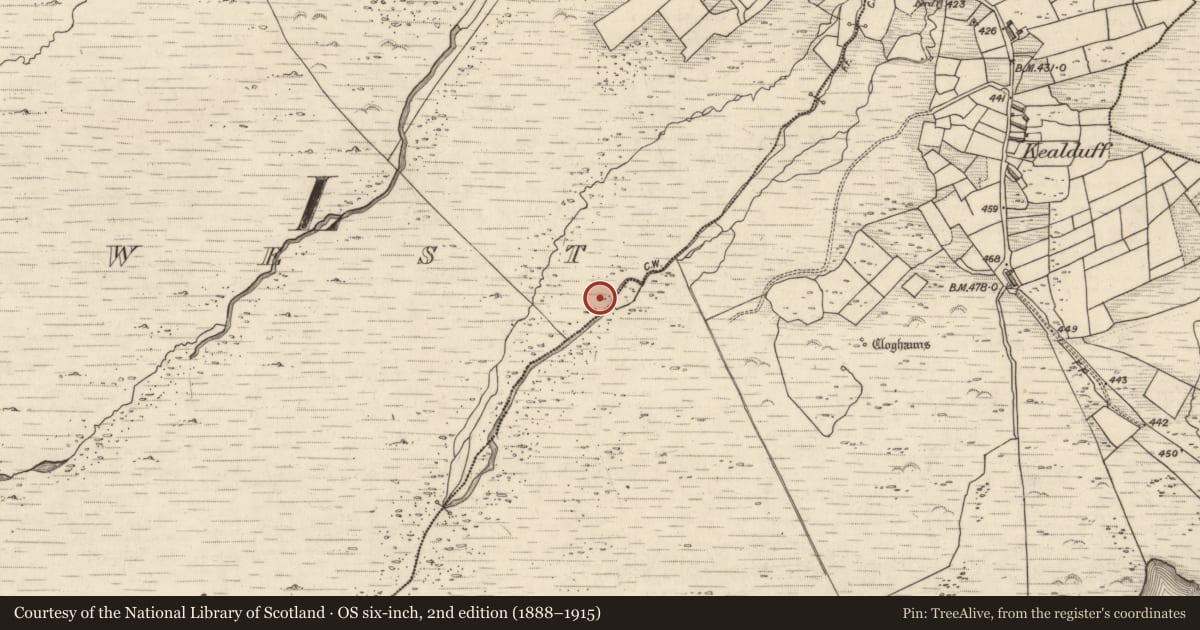 Ordnance Survey six-inch map, 2nd edition (1888–1915) covering the location of Rock art, Letter West, County Kerry, with a pin at the register's coordinates