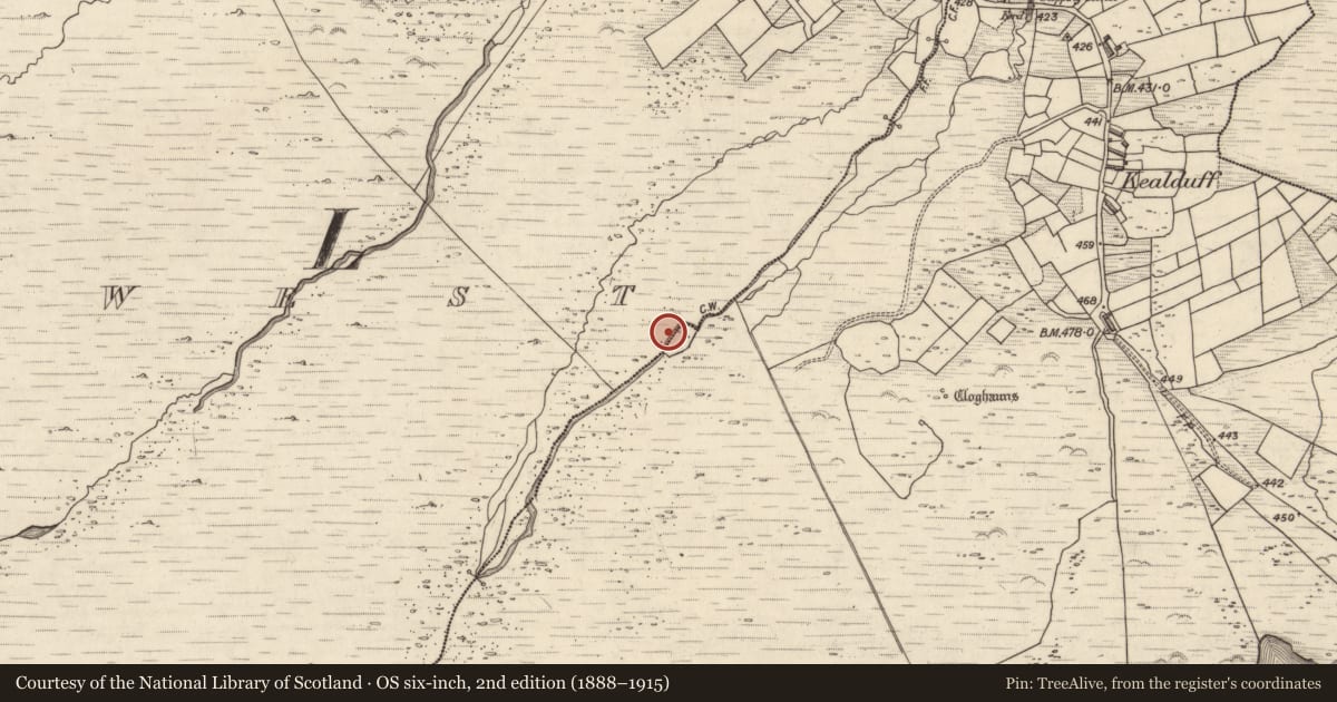 Ordnance Survey six-inch map, 2nd edition (1888–1915) covering the location of Rock art, Letter West, County Kerry, with a pin at the register's coordinates
