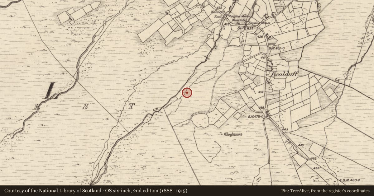Ordnance Survey six-inch map, 2nd edition (1888–1915) covering the location of Rock art, Kealduff Upper, County Kerry, with a pin at the register's coordinates