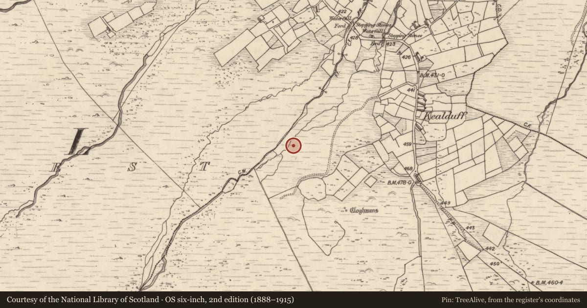 Ordnance Survey six-inch map, 2nd edition (1888–1915) covering the location of Rock art, Kealduff Upper, County Kerry, with a pin at the register's coordinates