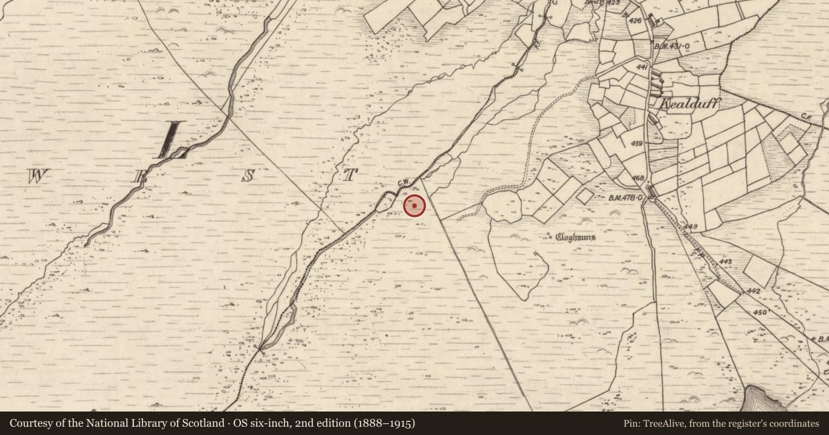 Ordnance Survey six-inch map, 2nd edition (1888–1915) covering the location of Rock art, Kealduff Upper, County Kerry, with a pin at the register's coordinates