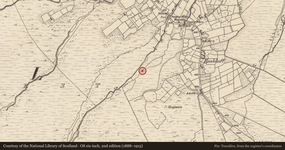 Ordnance Survey six-inch map, 2nd edition (1888–1915) covering the location of Rock art, Kealduff Upper, County Kerry, with a pin at the register's coordinates