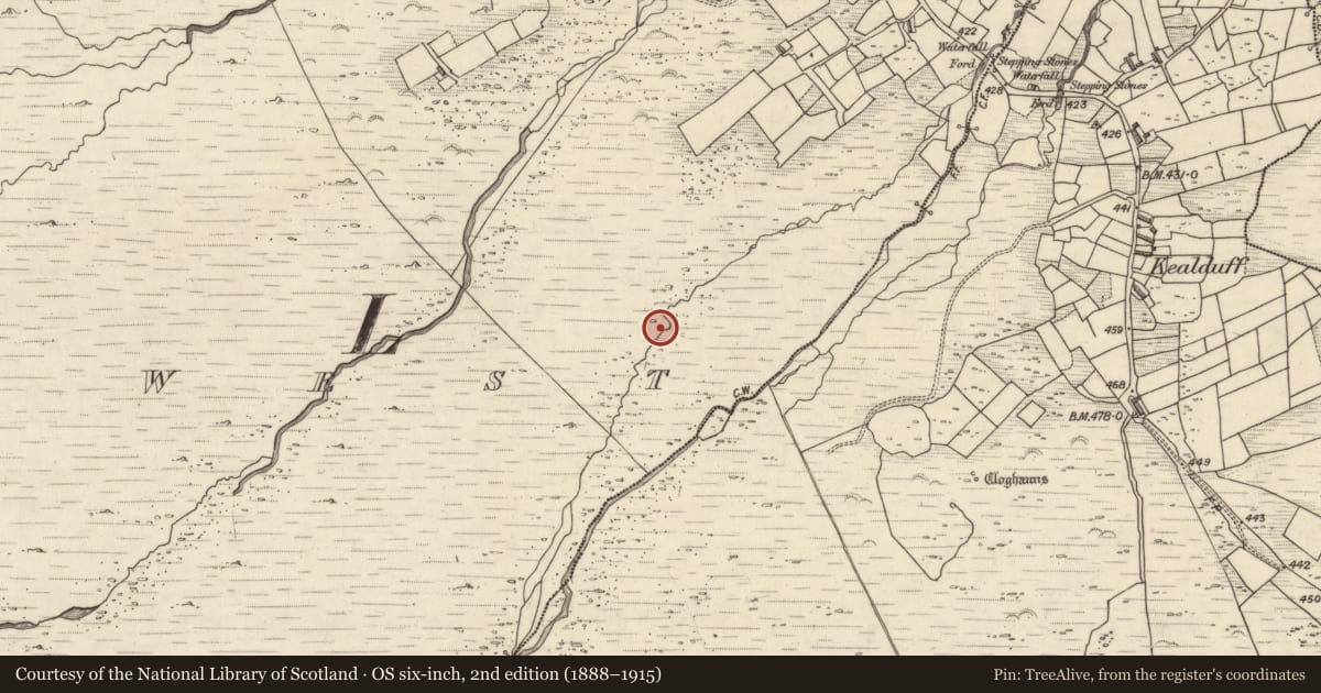Ordnance Survey six-inch map, 2nd edition (1888–1915) covering the location of Rock art, Letter West, County Kerry, with a pin at the register's coordinates