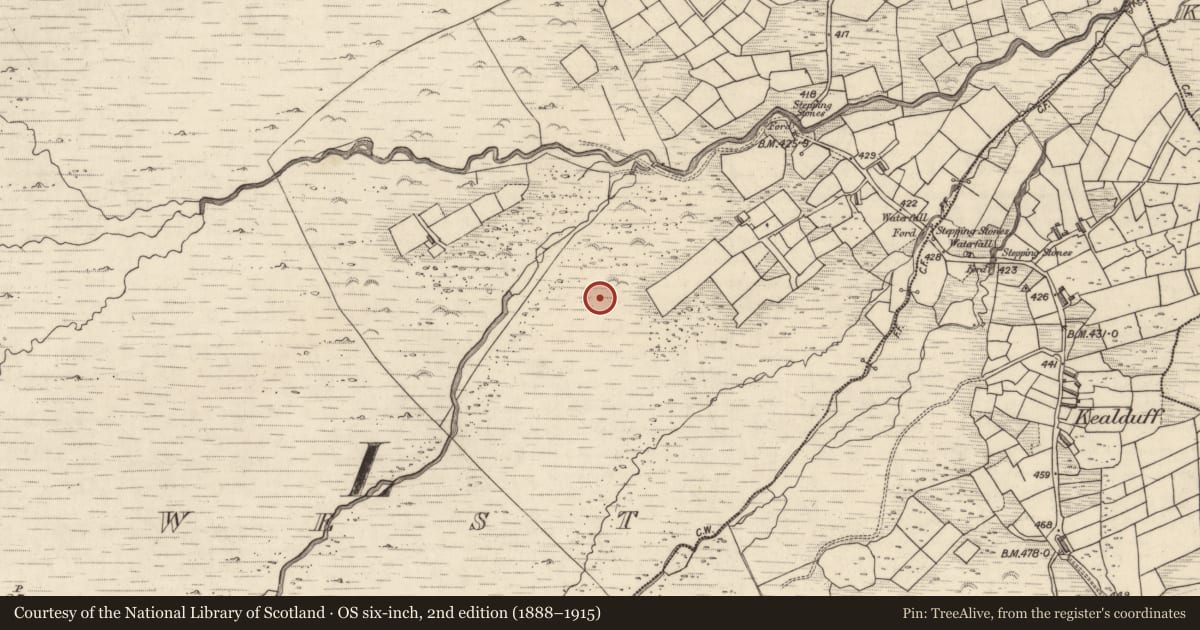 Ordnance Survey six-inch map, 2nd edition (1888–1915) covering the location of Rock art, Letter West, County Kerry, with a pin at the register's coordinates