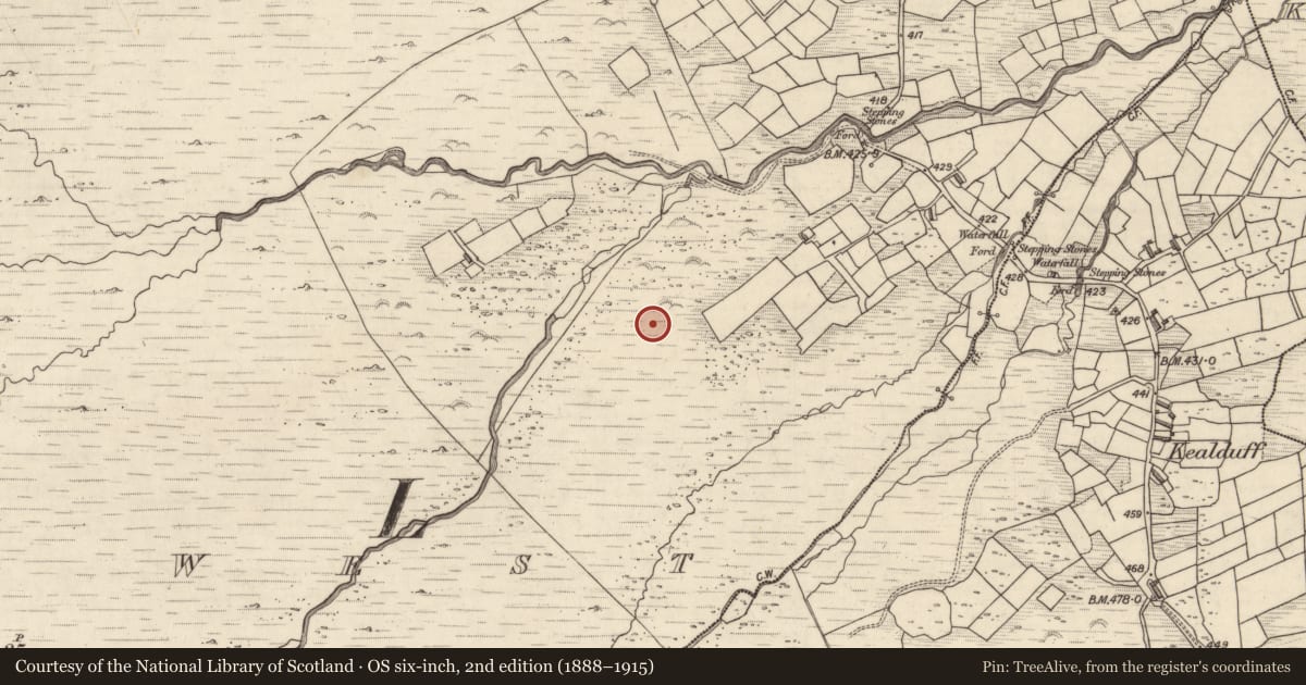 Ordnance Survey six-inch map, 2nd edition (1888–1915) covering the location of Rock art, Letter West, County Kerry, with a pin at the register's coordinates